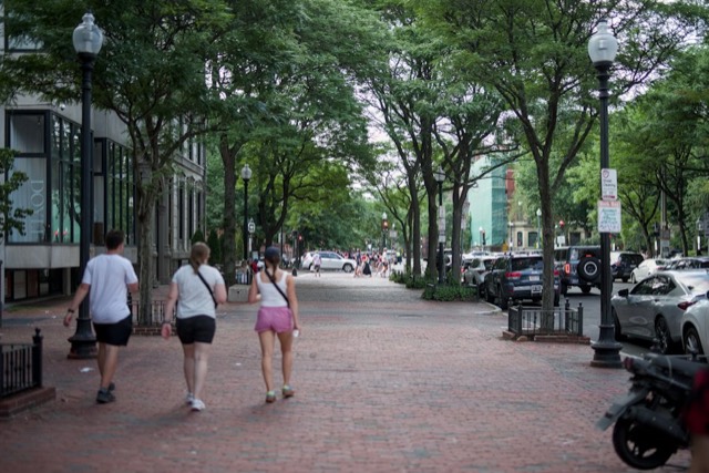 People walking along a tree-lined street in daylight